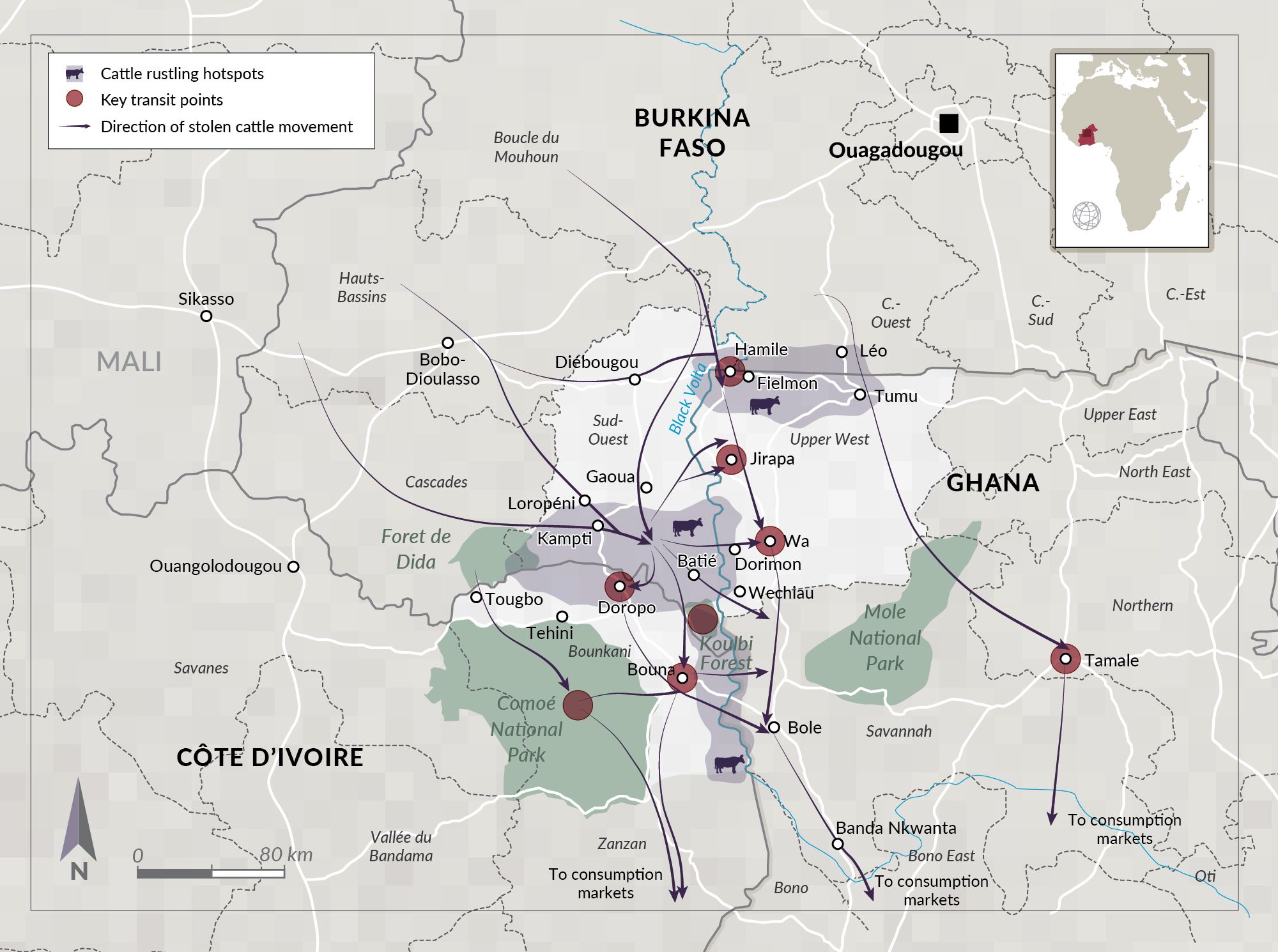 Itinéraires du bétail volé et points de vente dans la zone des trois frontières Burkina Faso–Ghana–Côte d’Ivoire