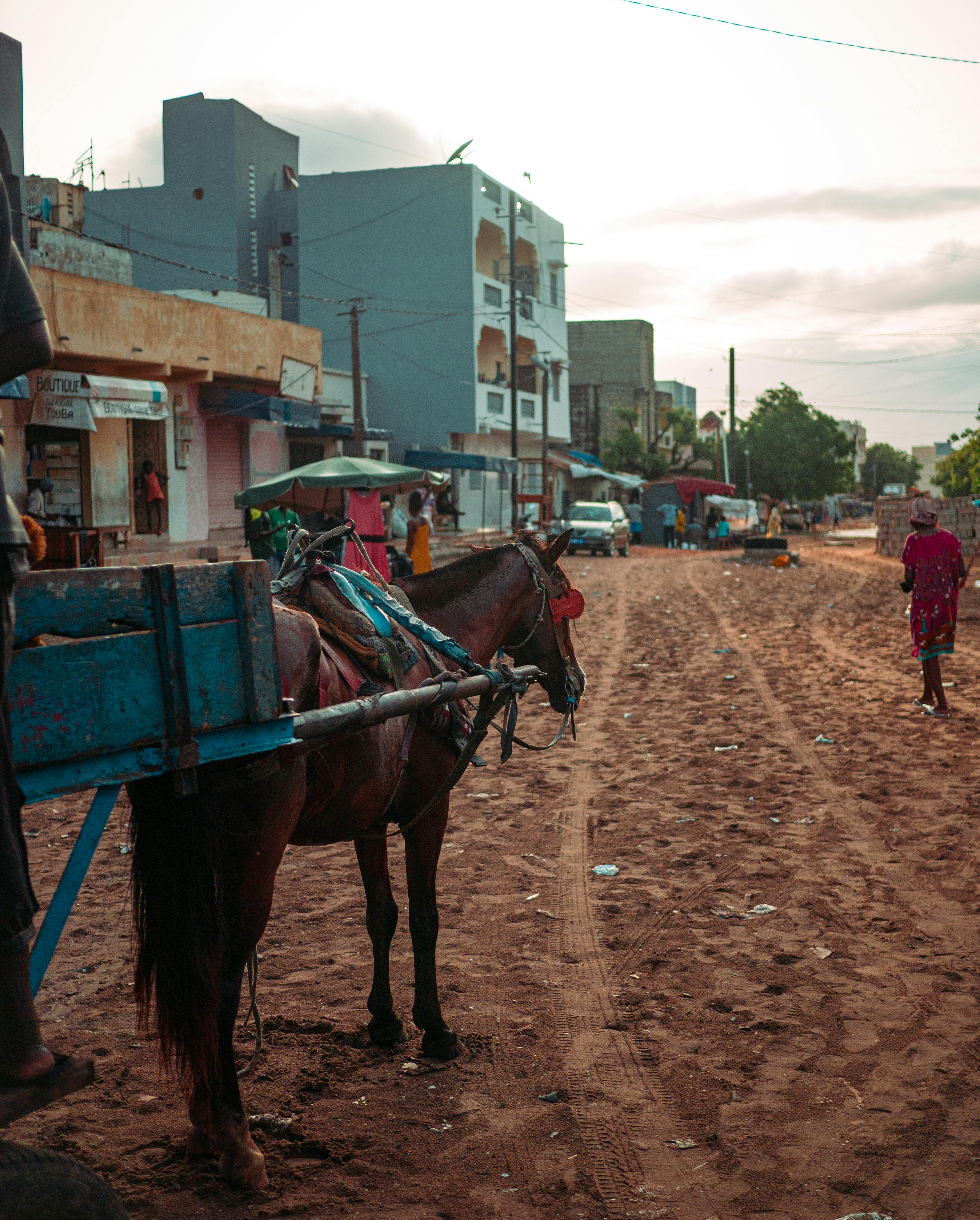 A scenic view of an urban Senegal street with a horse-drawn cart on a sandy pathway.